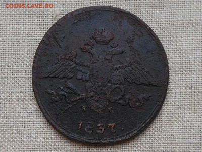 5 копеек 1837 ем кт до 6.10.2015 в 22-00 по МСК - Resize of RSCN4587.JPG