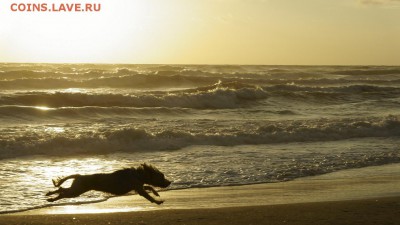 ФОТО - просто фото. Те что получились удачными. - z_c6189970