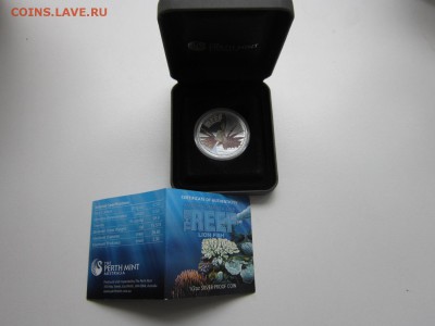 Австралия "Тропические коралловые рыбы" до 09,10,2015 22,00 - IMG_1229.JPG