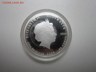 Австралия "Тропические коралловые рыбы" до 09,10,2015 22,00 - IMG_1228.JPG