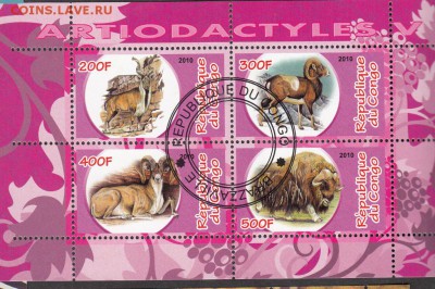 Конго 2010 фауна лист - 33