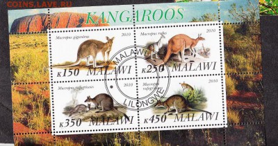 Малави 2010 кенгуру лист - 40