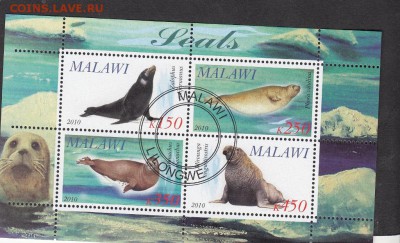 Малави 2010 морская фауна лист - 46