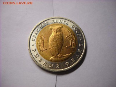 5 рублей 1991 г. Красная книга  Рыбный филин - DSCN6353[1].JPG