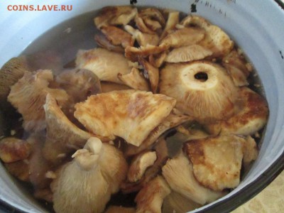 делает - прямо сейчас !!! - IMG_2735.JPG