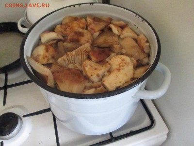 делает - прямо сейчас !!! - IMG_2736.JPG