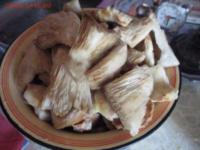 делает - прямо сейчас !!! - IMG_2737.JPG