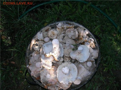 делает - прямо сейчас !!! - image