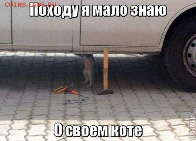юмор - 468464