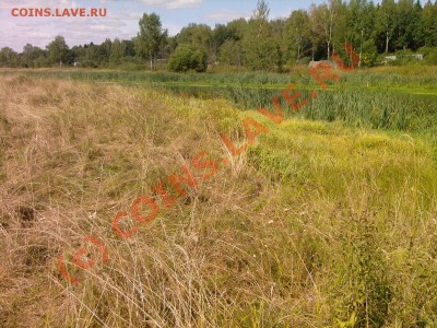 Вот он бережок! - Photo-0022