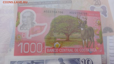 Коста Рика 1000 колонов 2009  г  пресс  до 8.10  в21-15мск - крр 02.10.15  суу 084.JPG