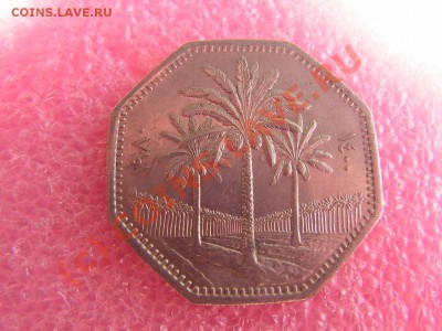 -Ирак- 250 филс 1980 -- 28 августа 21-00 - PICT0729.JPG