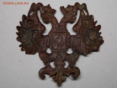 Орёл царский на опознание. - DSCN4138.JPG