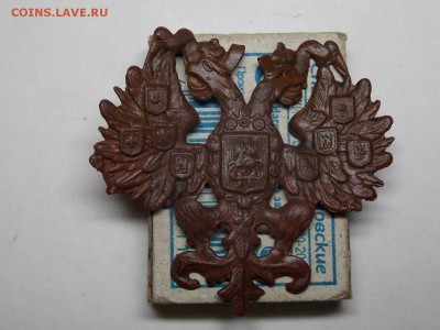 Орёл царский на опознание. - DSCN4136.JPG