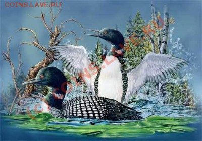 Что тут нарисовано? - Оптическая-Иллюзия-5