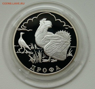 1 рубль 2004г Дрофа серебро до 11.10.в 21-30 - дрофа1