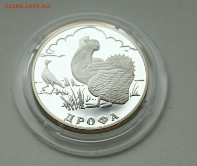 1 рубль 2004г Дрофа серебро до 11.10.в 21-30 - дрофа