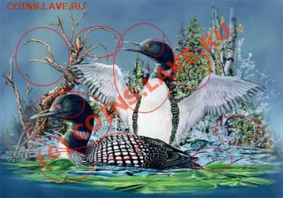Что тут нарисовано? - ОПТ~1.JPG
