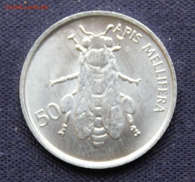 Конкурс «Veni Vedi Vici» - IMG_8002.JPG