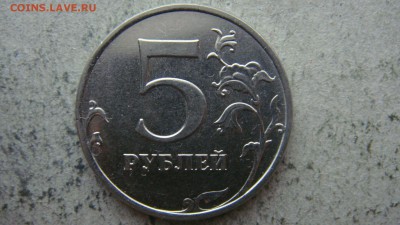 Вопросы по разновиднстям от сахарок - DSC08342.JPG