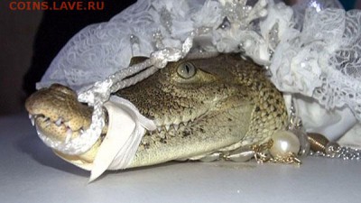 ..........Желтая пресса .......... - крр