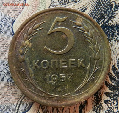 5 копеек 1957 - Красивая монета - 10.10.2015 22-00 - DSCN8871