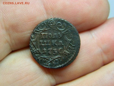 полушка 1736г до 10.10.15г в 22 00 по мск - DSCN0385[1].JPG