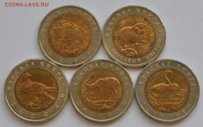 Красная книга комплект 1994 год, до 10.10.2015г. 22-30 Мск - DSC_24861