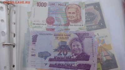 Малави 20 квача   г пресс  до 13.10  в 21-00 мск - крр 02.10.15  суу 153.JPG