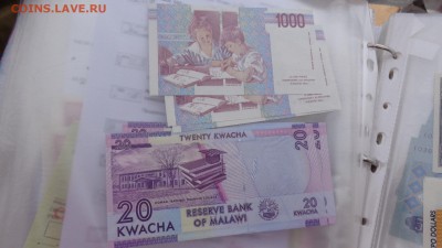 Малави 20 квача   г пресс  до 13.10  в 21-00 мск - крр 02.10.15  суу 154.JPG