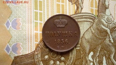 полушка 1856г. ем приятная  до13.10.15г. в 22.00 мск - image-51