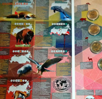 Фикс Альбом для 15 монет серии Красная Книга - 4