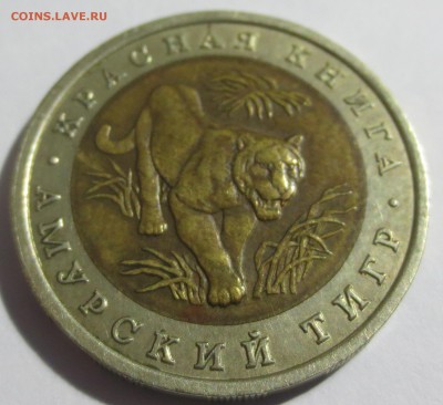КК 10 руб 1992г Амурский тигр с 200 рублей.. - IMG_6946.JPG