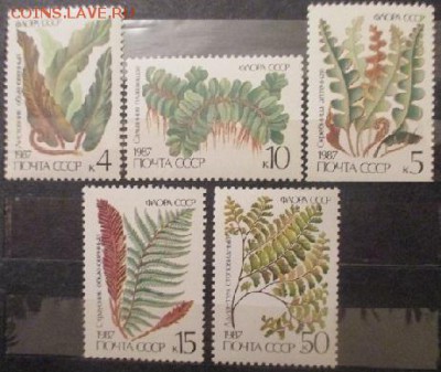 СССР 1987. Папоротники**** - 1987-489