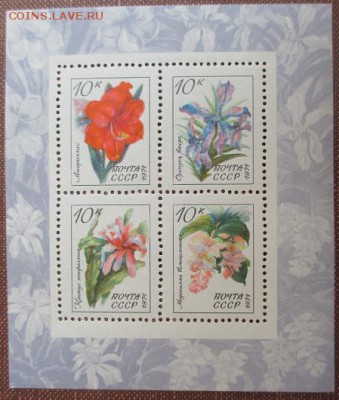 СССР 1971. Тропические и субтропические растения. Блок **** - 1971-426.JPG