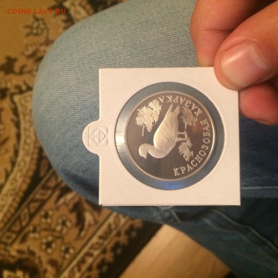 1 руб 1994 года Краснозобая Козарка серебро,15.10.2015 22.00 - IMG_8039.JPG