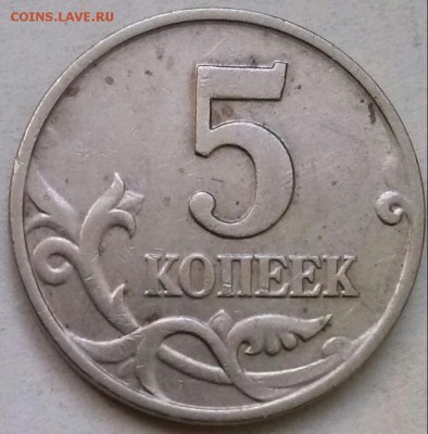 5к2002м выкрошка "бородатый змей", ок 22:00 Мв 15.10.15. - 0-5к2002м борода Реверс