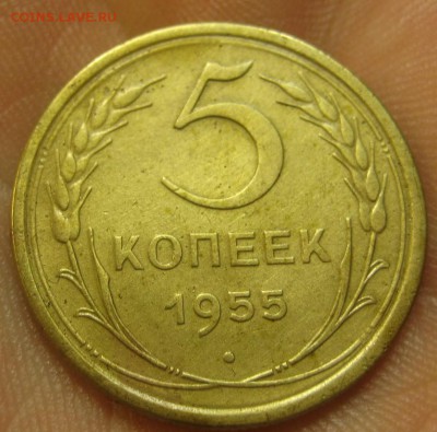 5 копеек 1955 г. (AZ-1166)----15.10.15, в 22.10 - IMG_6841.JPG