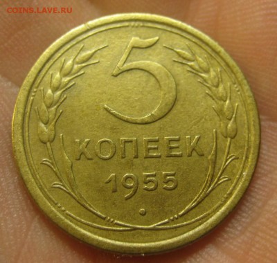 5 копеек 1955 г. (AZ-1172)----15.10.15, в 22.10 - IMG_6849.JPG