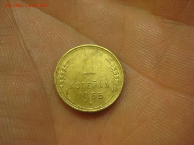 1 копейка 1955 г. (AZ-1777) -----15.10.15, в 22.10 - IMG_7980.JPG
