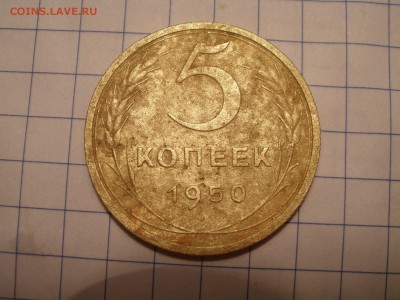 5 копеек 1950 шт? - PA101308.JPG