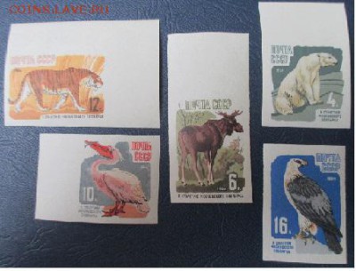 СССР 1964. 100-летие Московского зоопарка - 1964-547.JPG