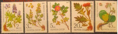 СССР 1985. Лекарственные растения - 1985-523.JPG