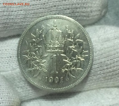 Австрия 1 крона 1901 года до 16.10. в 22:15. - 10