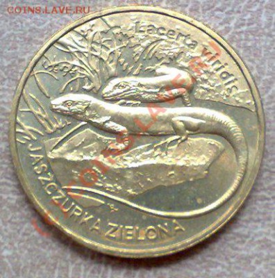 Польша 2злот 2009 Ящерица 30.08 21.00 - Ящерица-1