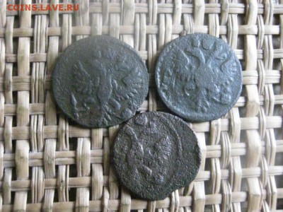 Полушки, 3 шт. 1731, 1734, 1735г. До 17.10.2015г. - 17 и 18 036.JPG