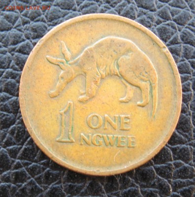 1 ngwee 1969 год Замбия - IMG_5498.JPG