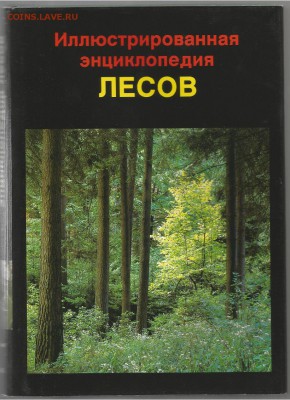 17.10 - Энциклопедия лесов