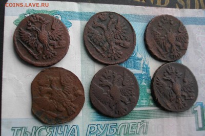Деньга (1751-2шт., 36, 46, 48, 49) до 14.10.15 22.00 мск - IMGP7530.JPG