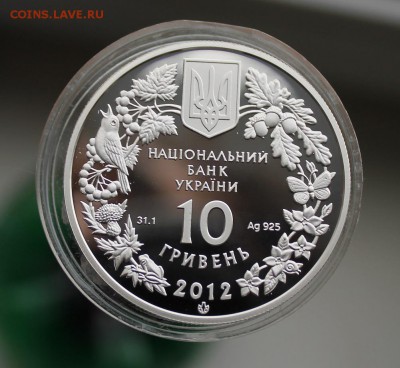 10 гривен 2012 год. Короткий - IMG_4271.JPG